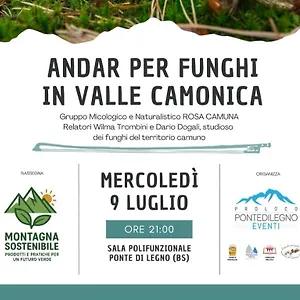 Casa vacanze Vacanze Graynite-old Village, Ponte Di Legno